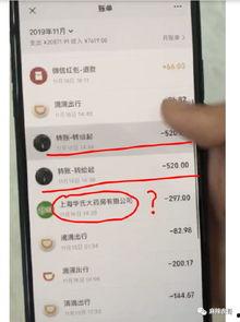 免费吃网红瓜的软件是什么,揭秘免费畅享网红瓜的神奇软件