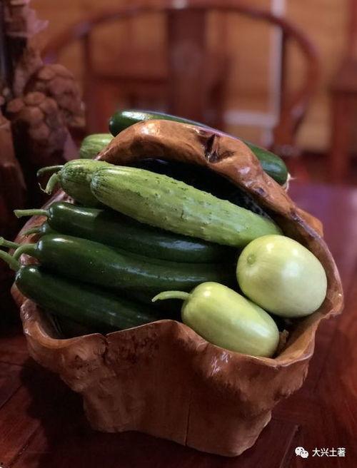 永康网红吃瓜,揭秘幕后故事与热门话题