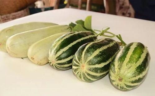 网红极品吃瓜,揭秘娱乐圈幕后真相