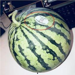 qq吃网红瓜,QQ吃瓜群众如何捕捉热门事件