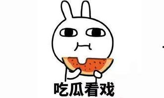 校园暴力吃瓜网,吃瓜网带你揭秘校园暴力背后的真相