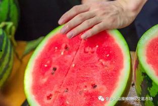 大学吃瓜网zhi,揭秘校园热点事件,带你领略校园生活百态