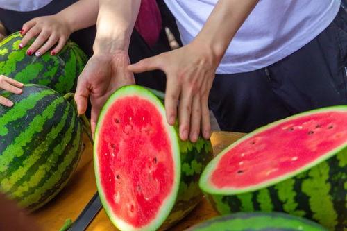 大学吃瓜网zhi,揭秘校园热点事件,带你领略校园生活百态