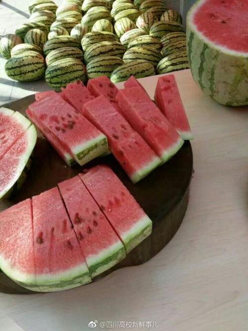 大学吃瓜网zhi,揭秘校园热点事件,带你领略校园生活百态