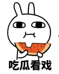 网红鸭吃瓜,趣味横生演绎网络热点