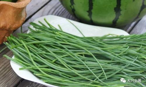 陇南文县网红吃瓜,探寻陇南美食新风尚