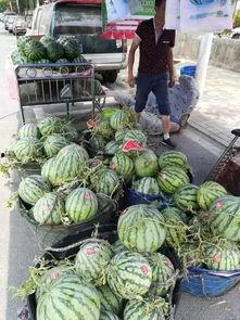 湖州吃瓜事件网红