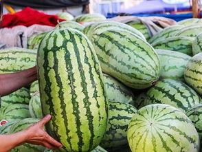 吃瓜事件网红可可