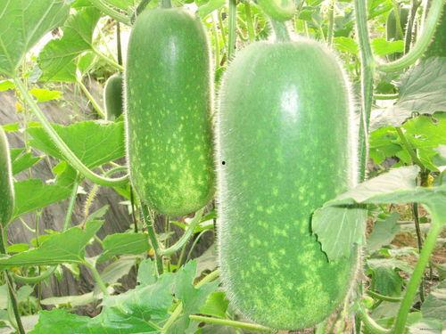 吃瓜网 j4k.,带你领略网络热点的魅力