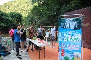 南平吃瓜群众评论网,揭秘网络评论背后的社会现象