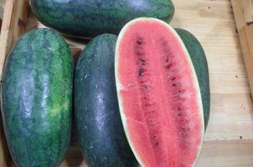 免费黑瓜吃料网入口最新