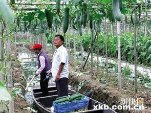 吃瓜网官网观看社区