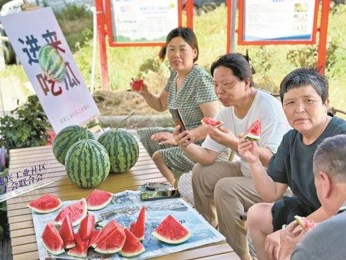 吃瓜网官网观看社区