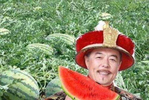 吃瓜讨论网,揭秘娱乐圈幕后故事，带你走进明星真实生活