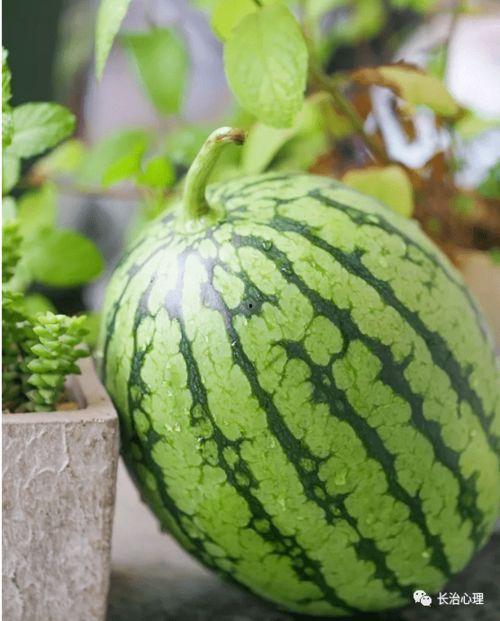 吃瓜讨论网,揭秘娱乐圈幕后故事，带你走进明星真实生活