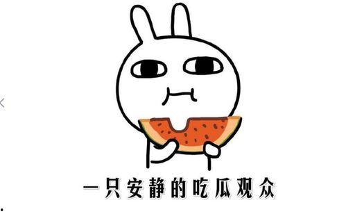 吃瓜抖音网,热门话题背后的真相与趣味