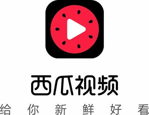 吃瓜抖音网,热门话题背后的真相与趣味