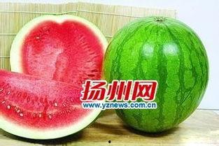 黑瓜吃料网没了,揭秘网络平台兴衰背后的故事