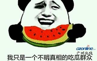 网明吃瓜群众,揭秘网络舆论背后的真相