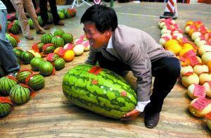 鲁山网红吃瓜比赛直播