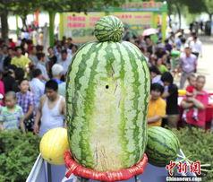 鲁山网红吃瓜比赛直播