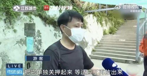 网红小凡吃瓜是真的吗