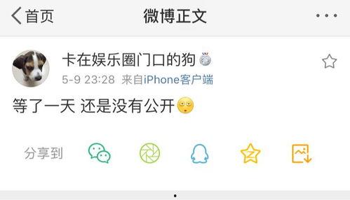 17爆料吃瓜网,揭秘娱乐圈最新热点事件