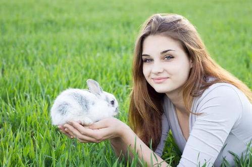 吃瓜网兔子牙,兔子牙背后的故事与魅力