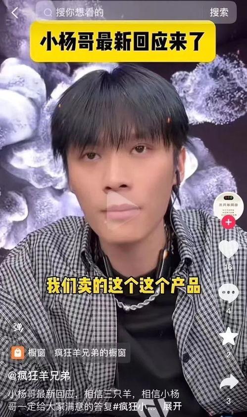 吃瓜网小杨哥,网络红人的崛起之路